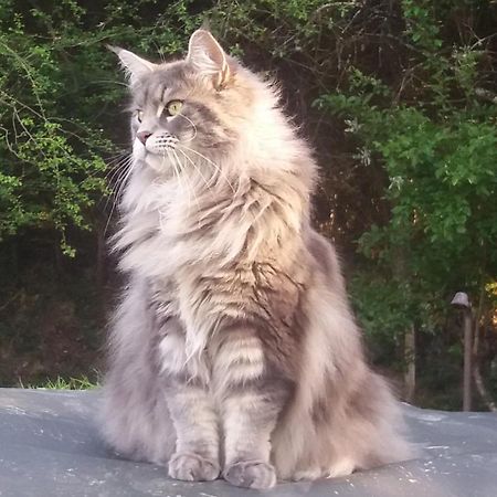 Hugoren Egoitza Zubialde Exterior foto